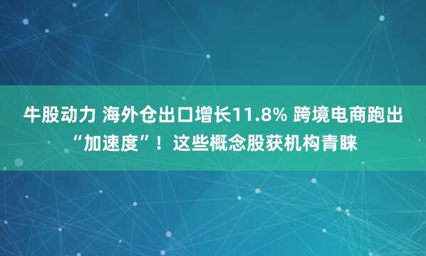 牛股动力 海外仓出口增长11.8% 跨境电商跑出“加速度”！这些概念股获机构青睐