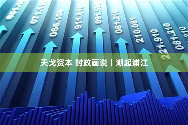 天戈资本 时政画说丨潮起浦江